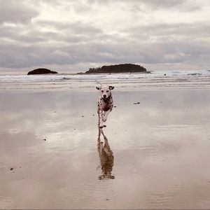 Meet your Posher, Genevieve